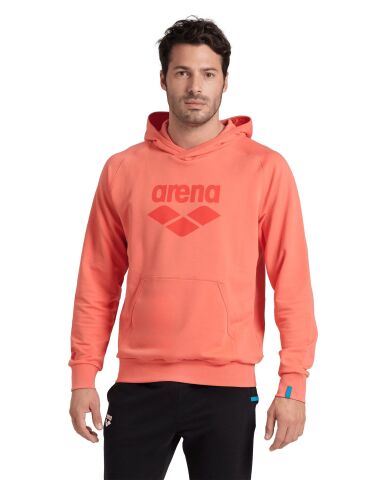 ARENA GRAPHIC UNISEX HOODIE 007230900